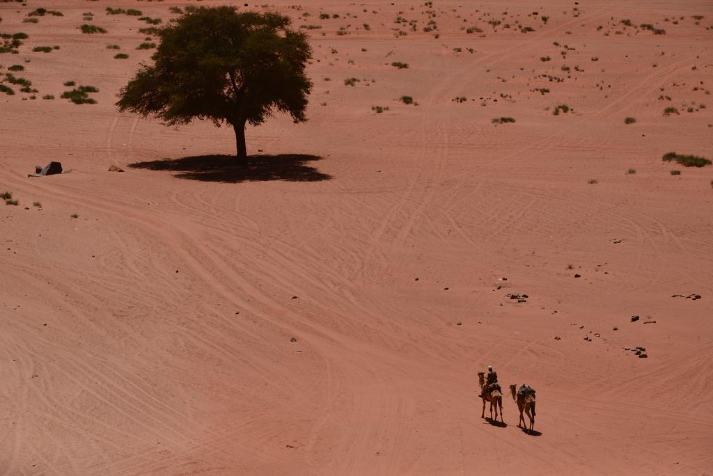 Wadi Rum Sleep Under The Stars Екстериор снимка